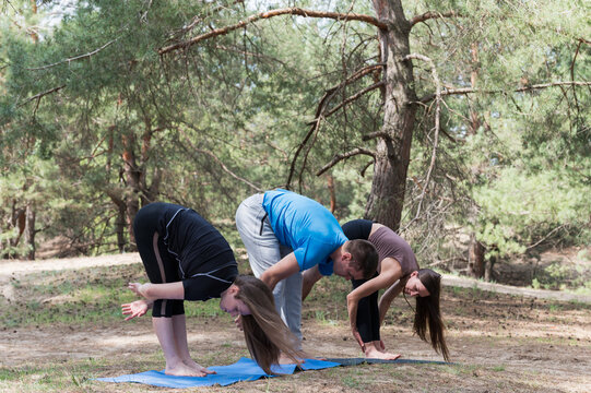 Two women and a man perform a standing forward bend stretch, folding their bodies toward the legs during an outdoor yoga workout in a sunny pine forest.