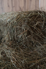 Golden hay bale rests softly against wooden wall © Victoria