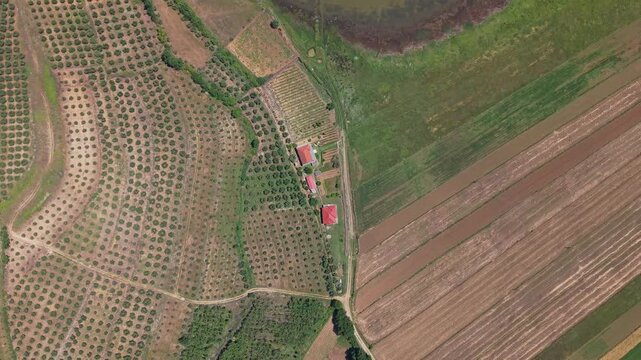 Aerial view of agricultural fields, olive groves, and rural landscape near Seferan Lake in Belsh, Elbasan County, Albania.
