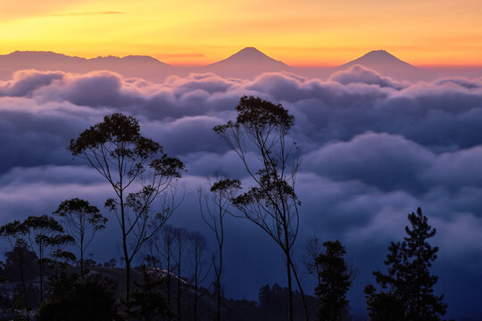 View of Gardu Pandang Gunung Malang overlooking a sea of clouds with distant volcanic peaks silhouetted against a vibrant sunset sky and foreground trees in Karangreja, Central Java, Indonesia.