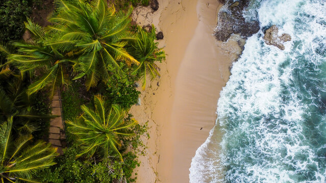Aerial view of tropical beach and palm forest in Costa Rica