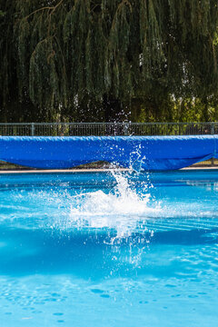 Water splash in outdoor swimming pool beneath willow tree