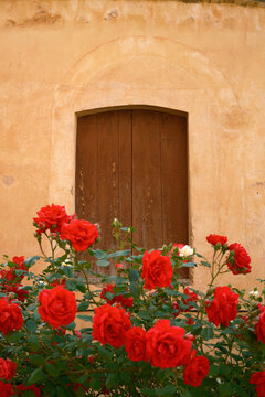 Red rose garden by wooden door in Mura village