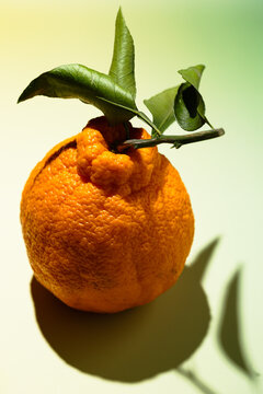 Fresh orange with leaf in minimalist food still life
