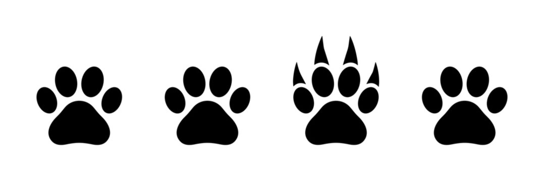 Collection of four black paw print icons representing different animal tracks isolated on transparent background