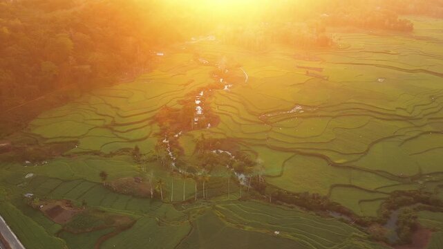 Aerial view of Wee Kacura rice terraces illuminated by golden hour light with lush green paddies and a winding stream in Kecamatan Wewewa Timur, Nusa Tenggara Timur, Indonesia.
