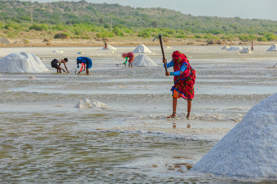 View of salt workers harvesting salt in the Achro Thar salt flats, with piles of salt and shallow water in Sanghar, Sindh, Pakistan.