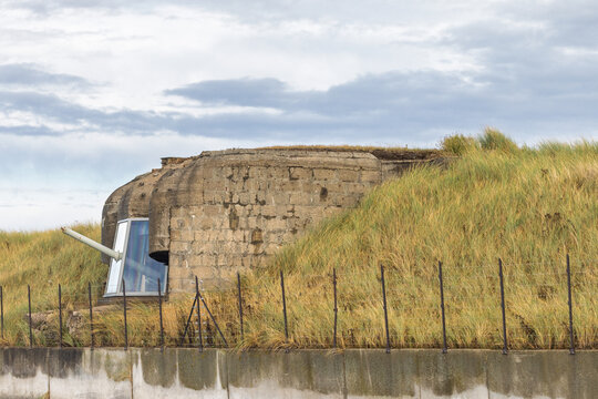 Concrete structure partially concealed by overgrown grass and sand dunes under a dramatic sky, evoking history and resilience. Ostend town in Belgium, Europe.