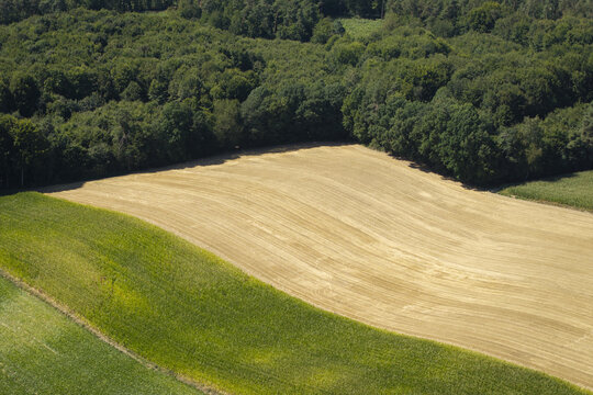 Aerial view of a harvested golden wheat field bordered by a dense green forest in Lesser Poland Voivode, Poland.
