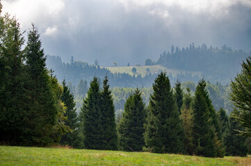 beskidy we mgle © piotrwolak