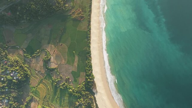 Aerial view of Pantai Rua beach and lush green rice fields along the coastline in Kecamatan Wanokaka, Nusa Tenggara Timur, Indonesia.