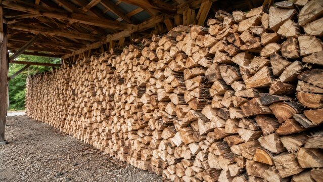 Long covered woodpile of neatly stacked split logs under a rustic shelter, ready for drying and winter fuel