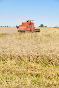 Combine harvesting wheat on a sunny summer day.