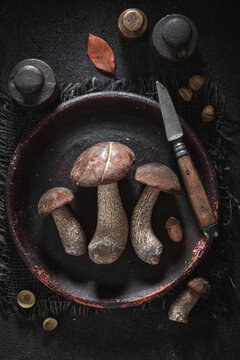 Fresh and wild mushrooms freshly picked from forest.