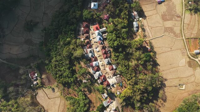 Aerial view of Kampung Prai Ijing traditional village with thatched-roof houses surrounded by lush trees and dry rice fields in Kota Walkabubak, East Nusa Tenggara, Indonesia.