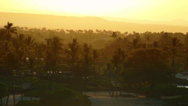 Warm golden sunset light over dense palm tree grove resort coastline on Big Island Hawaii with hazy volcanic mountain ridges rocky lava shore and calm ocean water in tropical evening haze.