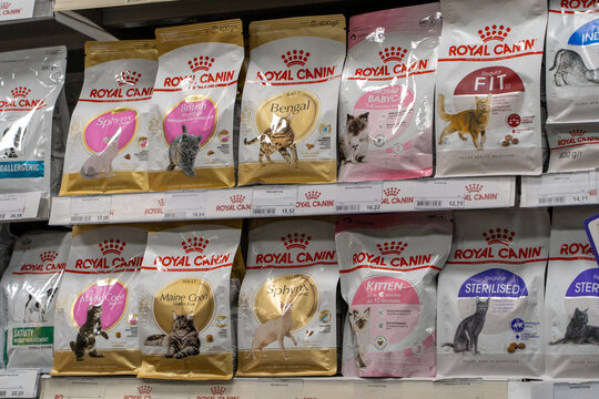 Pet shop aisle displaying a wide selection of Royal Canin dry cat food products arranged on store shelves, featuring various formulas for different cat breeds. Minsk, Belarus - March 28, 2025