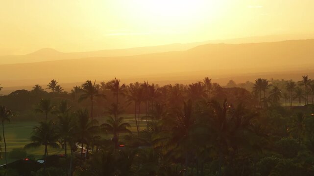 Aerial drone view of glowing golden sunrise over dense coconut palm groves and green resort lawns on Big Island Hawaii with hazy volcanic mountain ridges layered in warm tropical light.