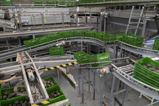 Aerial view of an avocado packing house with green crates moving along automated conveyor belts and sorting machinery in Tancitaro, Michoacan, Mexico.