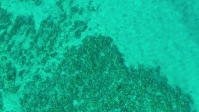 Aerial drone top down view of crystal clear turquoise ocean water revealing dark coral reef patches in shallow tropical lagoon along the coast of Big Island Hawaii on a bright sunny day.