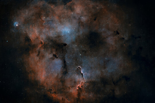 View of the IC 1396 Elephant's Trunk Nebula featuring glowing ionized gas clouds and dark dust filaments in the night sky, Poland.