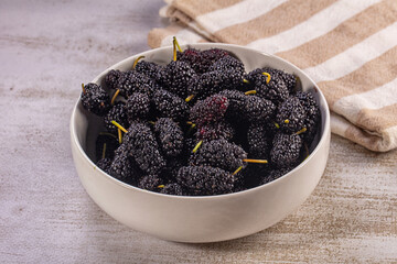 Fresh mulberries in white ceramic bowl on rustic surface with striped cloth © Andrei Starostin