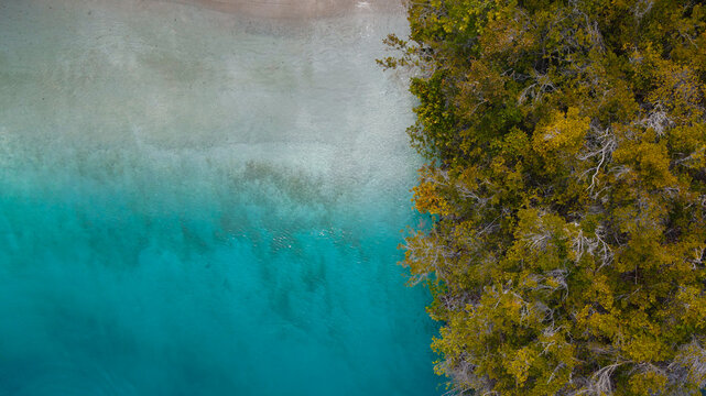 Aerial view of the lush tropical vegetation of Batanta island meeting the turquoise waters and sandy beach in Raja Ampat, Southwest Papua, Indonesia.