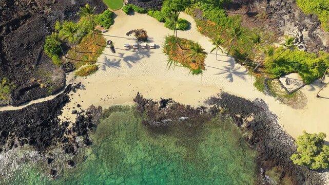 Drone flight above hidden white sand beach on Big Island Hawaii with coconut palms black lava rock coastline and clear turquoise bay water revealing coral reef in bright morning sunlight.