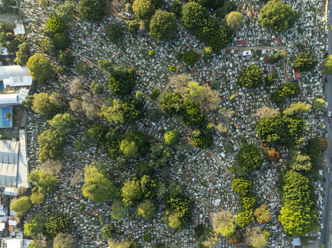 Aerial view of the historic cemetery in Uruapan featuring dense rows of white tombstones interspersed with lush green trees and winding pathways in Uruapan, Michoacan, Mexico.