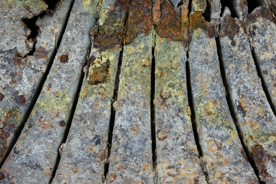 Abstract close-up of heavily rusted metal forming a natural shell shape. Perfect textured background for industrial design, grunge art, and concepts of decay.