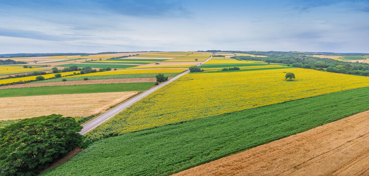 Aerial view showing a patchwork of colorful crop fields, including bright yellow sunflowers, green crops, and golden wheat, with a road crossing the serene countryside