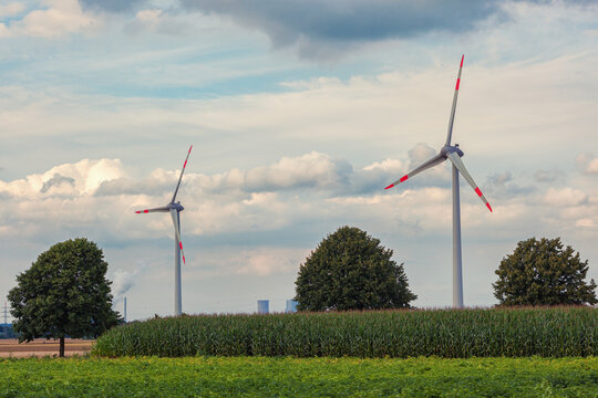 Renewable energy, wind turbines near the green corn field