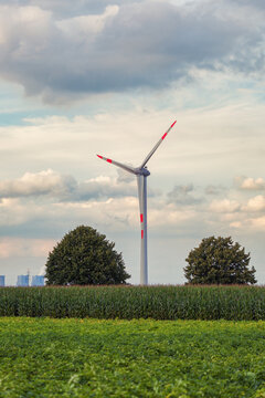 Renewable energy, wind turbines near the green corn field