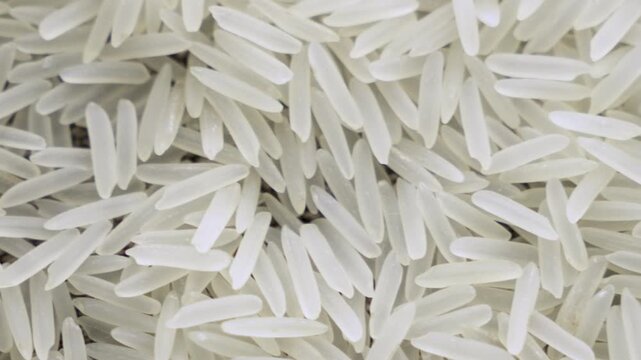 White basmati rice grains macro camera panning handheld shot in nature, 4K