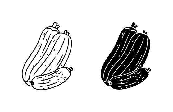 Simple Outline and Silhouette Vector Icons of Zucchini and Cucumbers, Fresh Produce Graphics