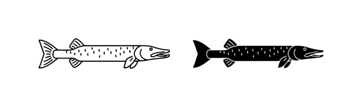 Pike Fish Vector Icons, Black and White Aquatic Predator Illustrations