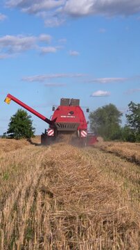 Combine harvester working in a harvested grain field, collecting cereal crops and leaving straw windrow during agricultural harvest