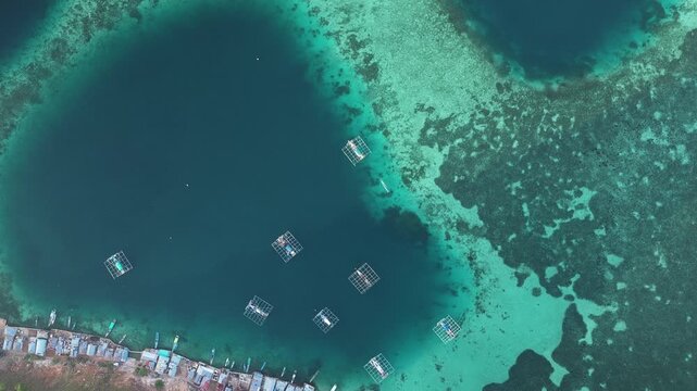 Aerial view of the Pulau Kukusan fishing village with floating fish farms and wooden houses along the coastline in Komodo, East Nusa Tenggara, Indonesia.