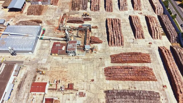 Workers move equipment in a large lumber yard filled with stacks of logs arranged in long rows. The scene shows a busy industrial area under clear skies.