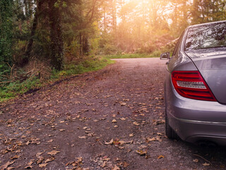 Fototapeta premium A silver car is parked on a dirt road with leaves on the ground in a forest park. Travel and walk in nature concept. Light and airy mood.