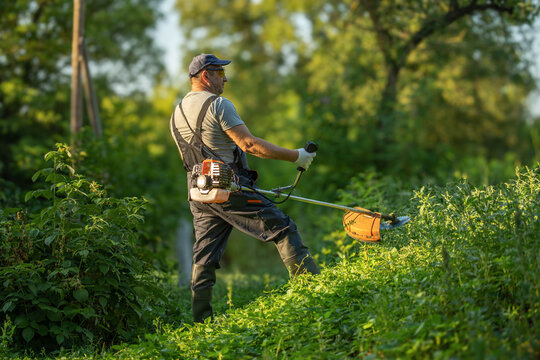 A man uses a brush cutter to clear weeds in a green field surrounded by trees. It is late afternoon, and the sun provides warm light