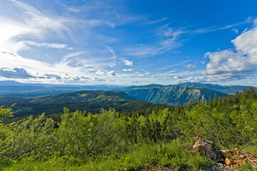 Panoramic aerial view of lush Durmitor National Park forests and mountains