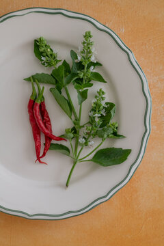 Homegrown chili peppers and basil on a ceramic plate