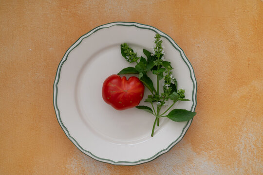 Ripe red tomato and flowering basil on a white plate