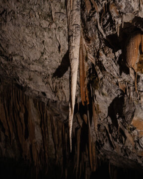 View of a large stalactite hanging from the rocky ceiling inside the Postojna Cave, showcasing intricate limestone formations in Postojna, Postojna, Slovenia.