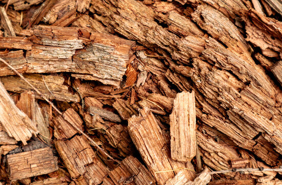 Top view macro texture of natural wood chips, bark mulch and decayed timber fragments, organic botanical background for gardening design