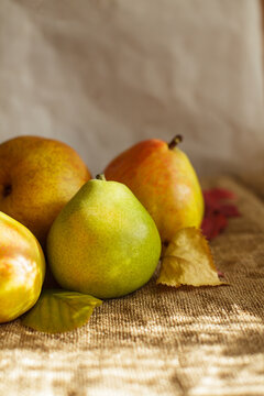 Fresh ripe organic pears with dry autumn leaves on burlap in warm sunlight