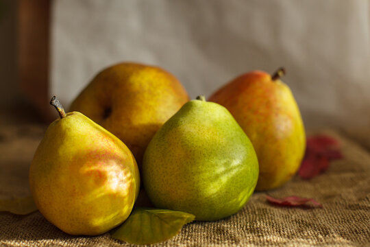 Fresh ripe organic pears with fall leaves on rustic burlap in sunlight