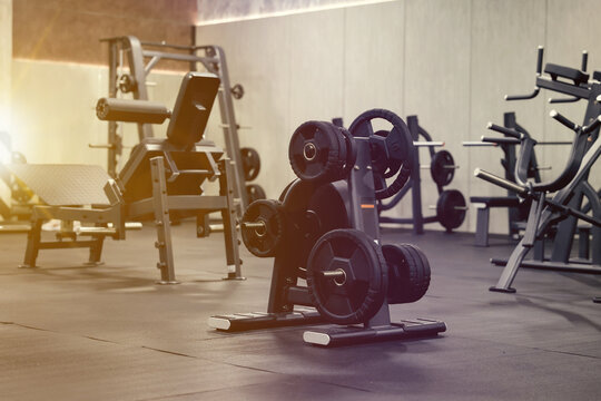 Weight plate rack and exercise machines in modern sunlit gym
