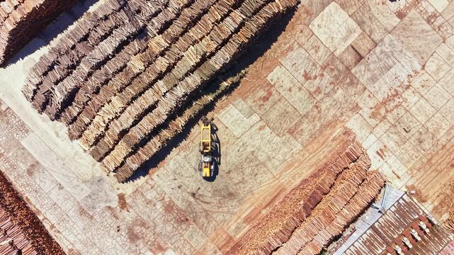 Workers use machinery to process wood at a site with rows of stacked timber. The location shows piles of logs arranged neatly on the ground.
